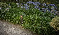 Prima Column gallery 1
